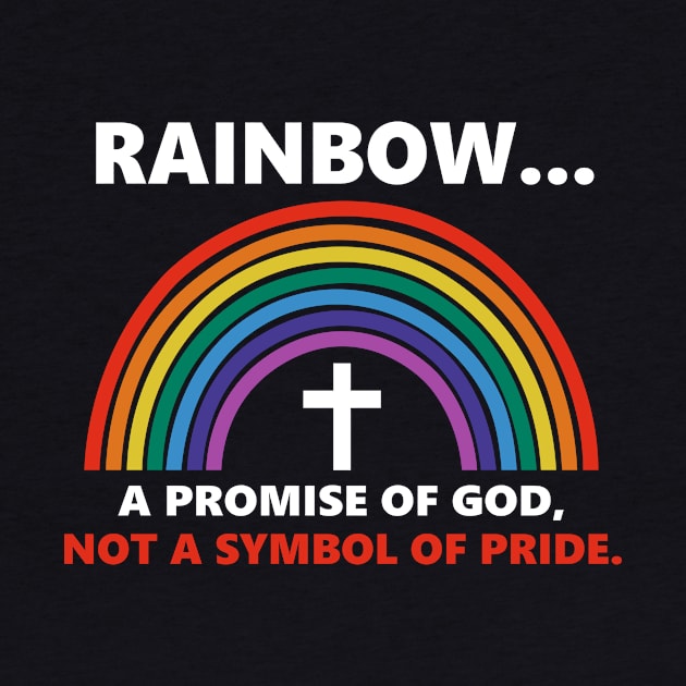 Rainbow A Promise Of God Not A Symnol Of Pride by Benko Clarence